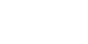 Mega Team